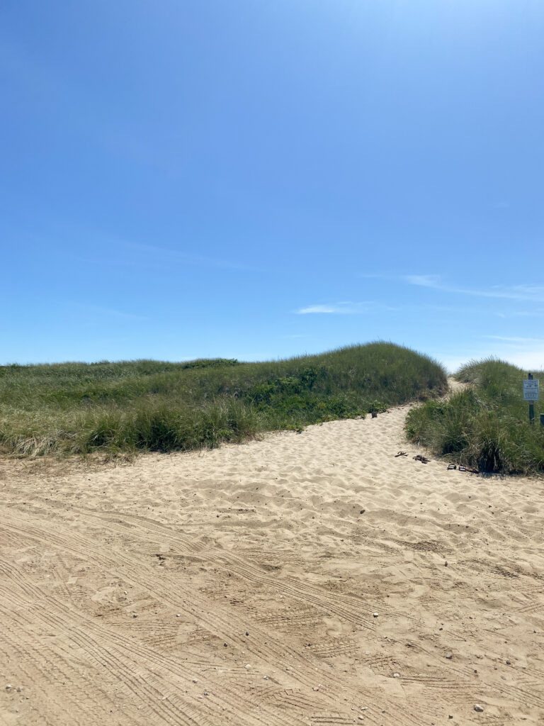 beach dunes nantucket photo diary