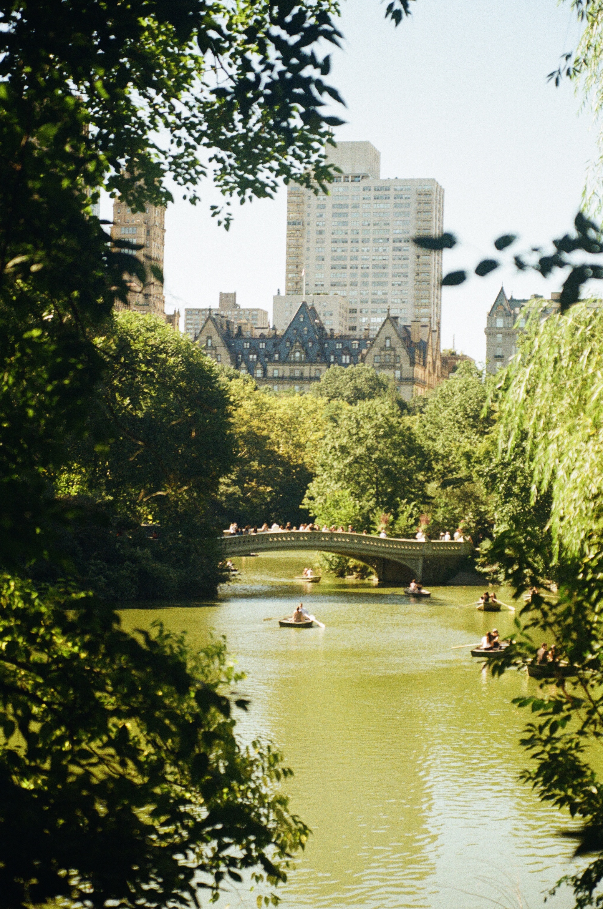 view of bow bridge in central park with row boats in the water in new york city